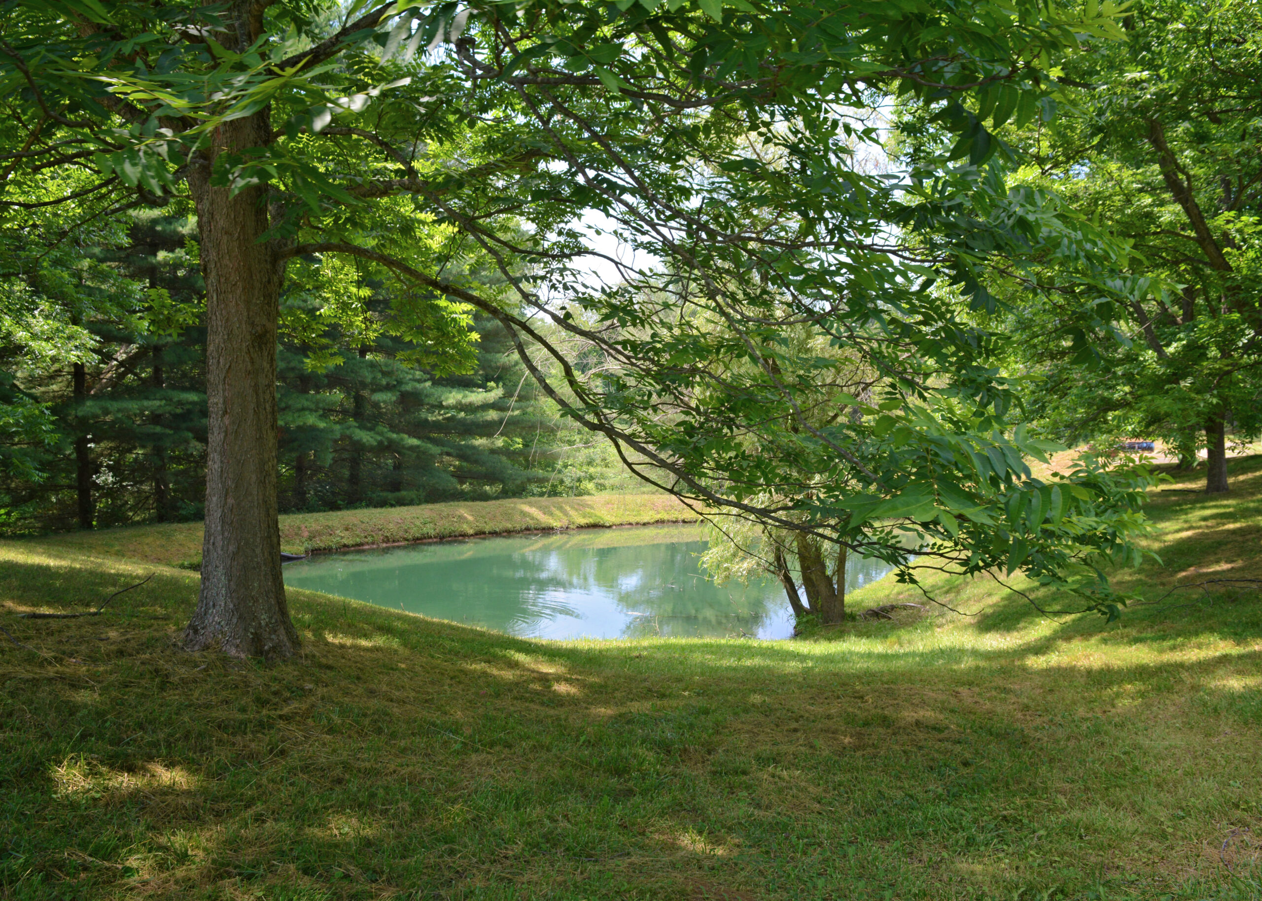 UCH Glenwood Pond